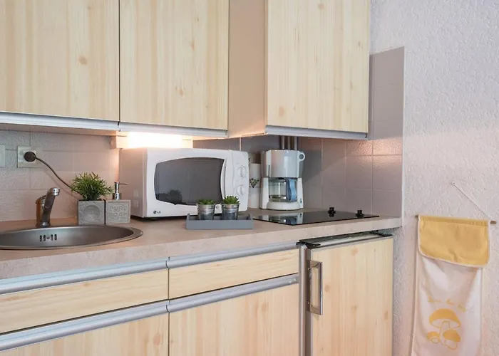 Pour 4 A Saint-lary Village Avec Balcon, Proche Telepherique - Fr-1-296-510 *